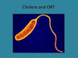 Cholera and ORT