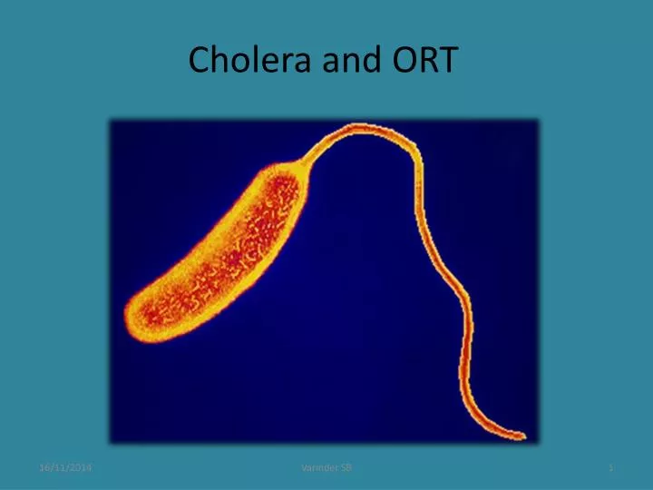 cholera and ort