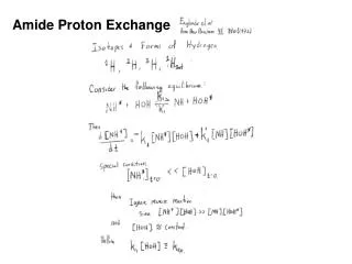 Amide Proton Exchange
