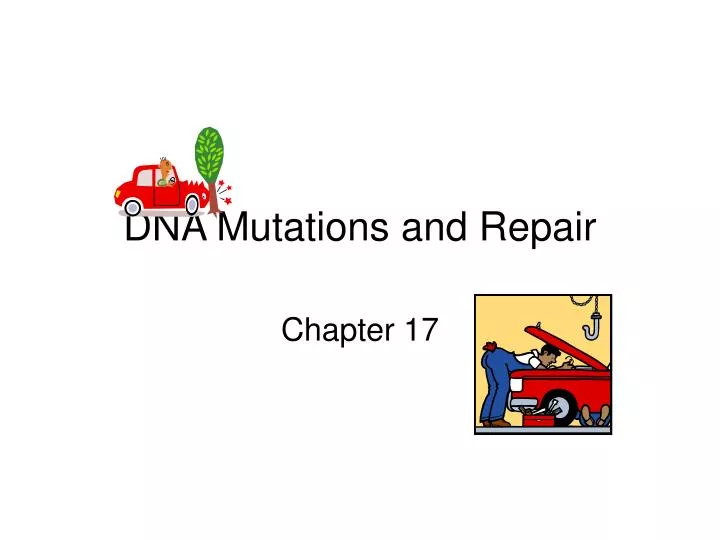 dna mutations and repair