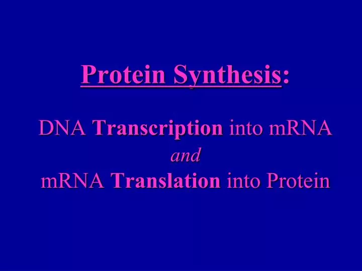 protein synthesis dna transcription into mrna and mrna translation into protein