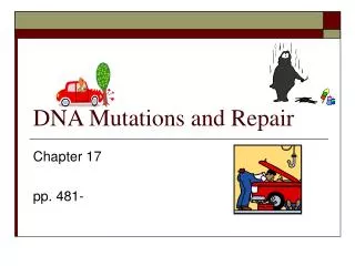 DNA Mutations and Repair