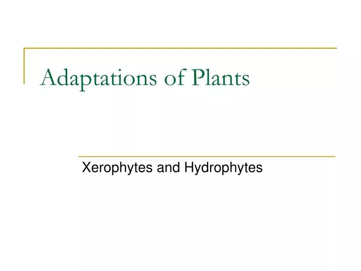 adaptations of plants