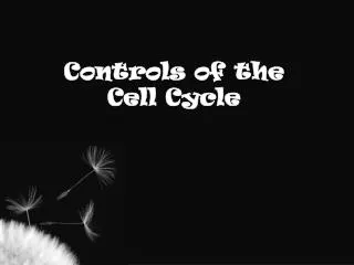 Controls of the Cell Cycle