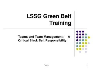 LSSG Green Belt Training