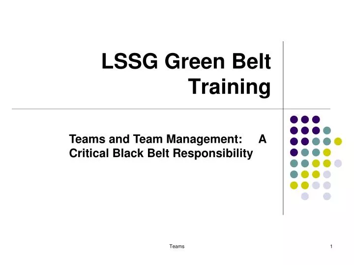 lssg green belt training