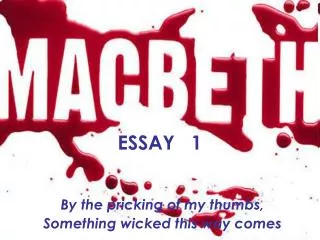 essay 1