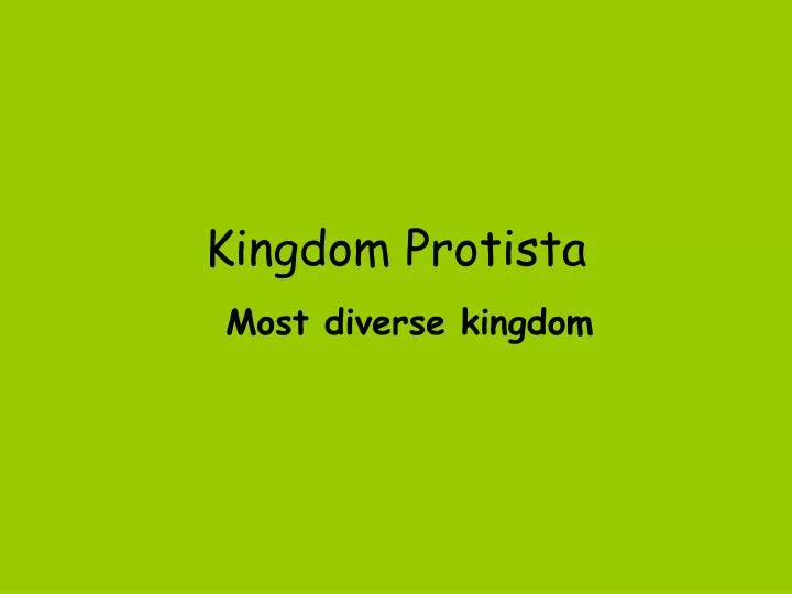 kingdom protista