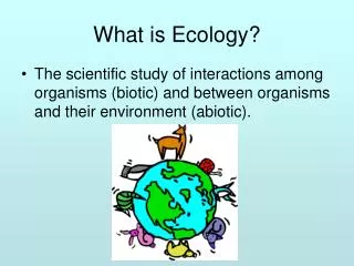 What is Ecology?