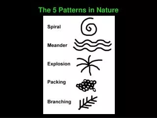 The 5 Patterns in Nature