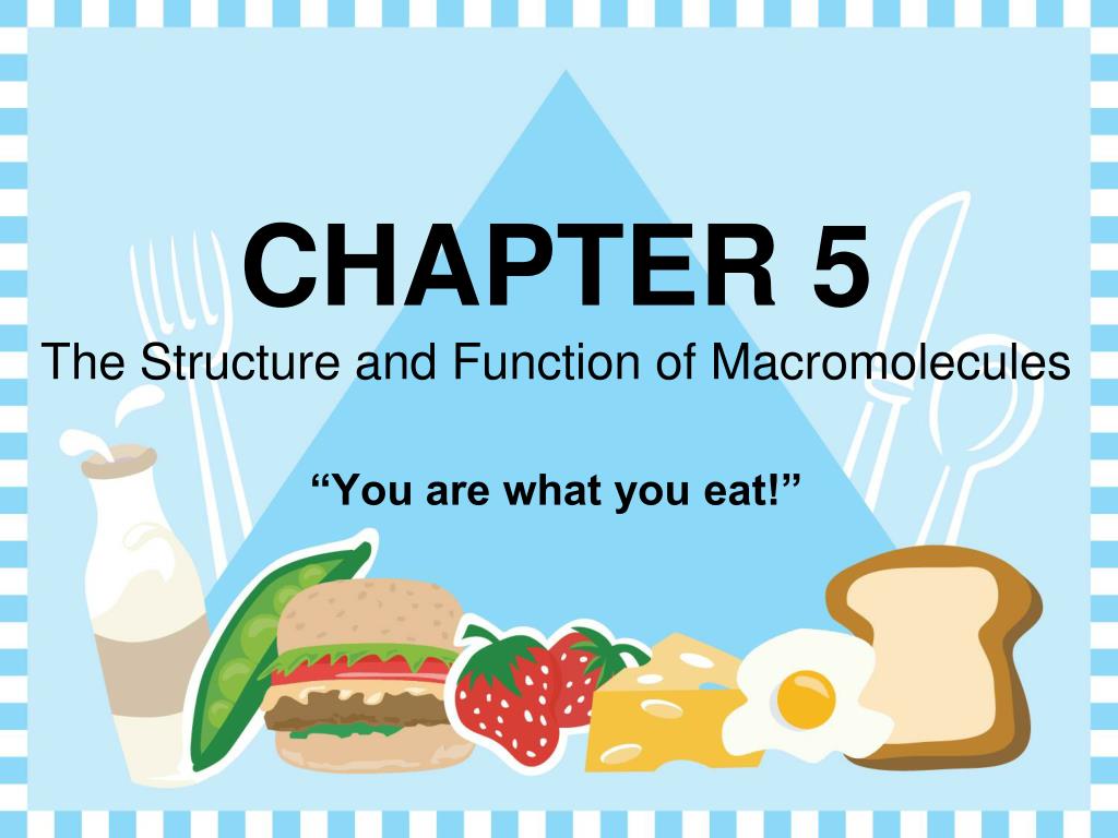 PPT - CHAPTER 5 The Structure and Function of Macromolecules PowerPoint ...