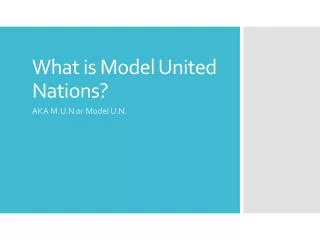 What is Model United Nations?