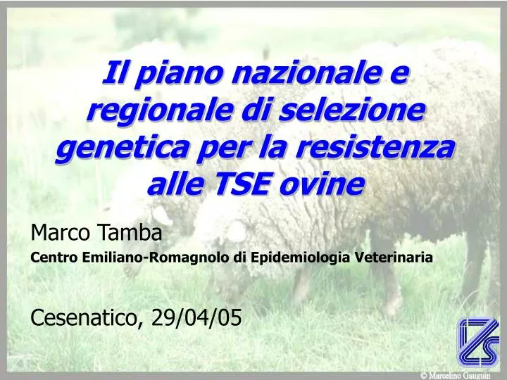 il piano nazionale e regionale di selezione genetica per la resistenza alle tse ovine