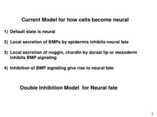 Current Model for how cells become neural Default state is neural