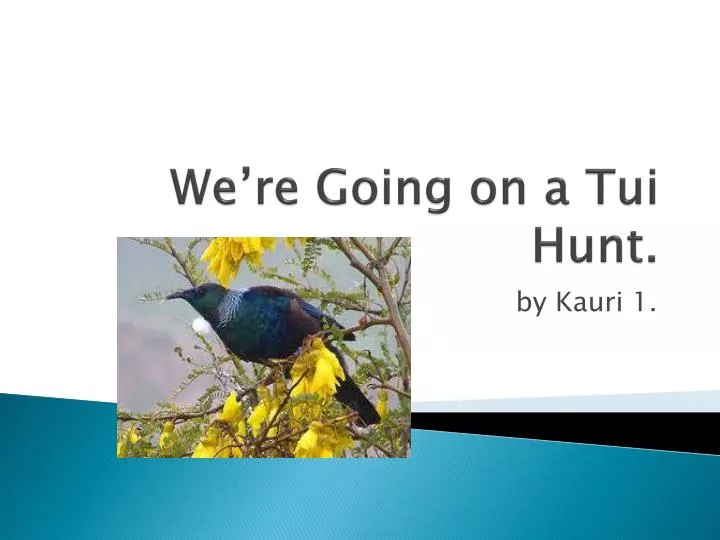 we re going on a tui hunt
