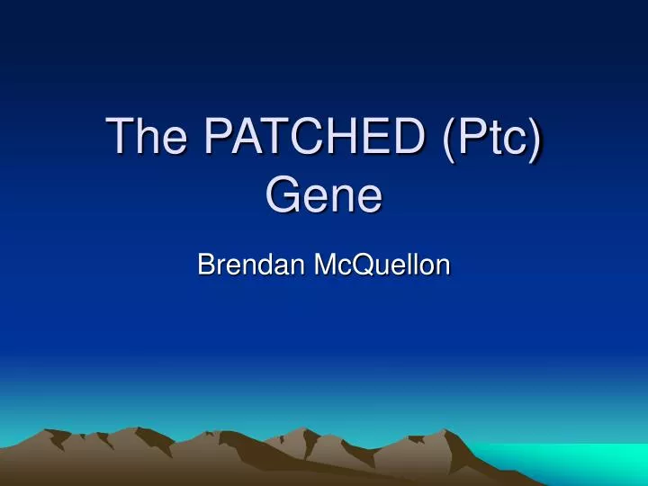 the patched ptc gene