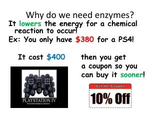 Why do we need enzymes?