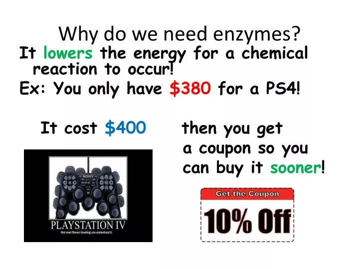 why do we need enzymes