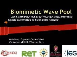 Biomimetic Wave Pool