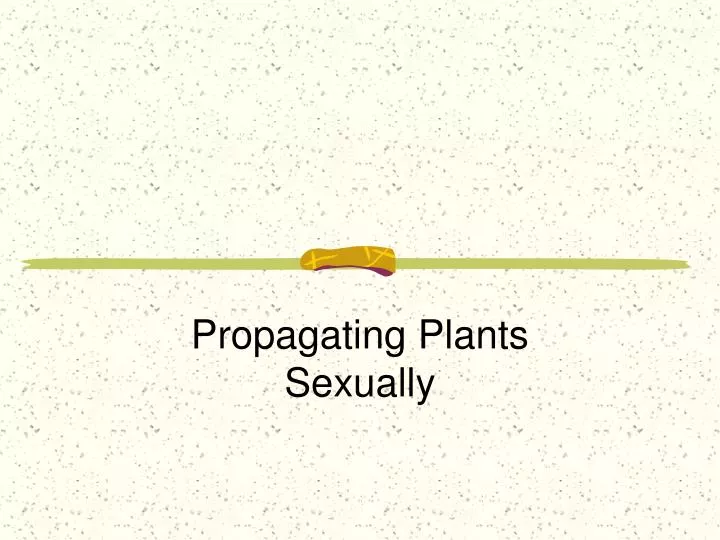 propagating plants sexually