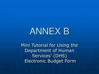 annex b