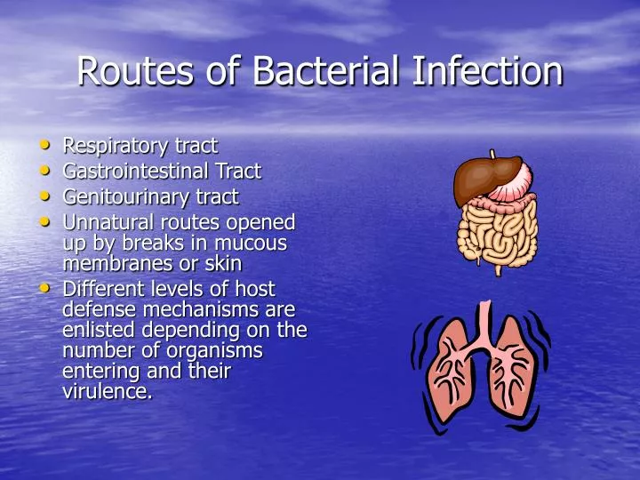 routes of bacterial infection