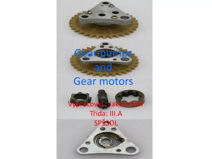 gear pumps and gear motors