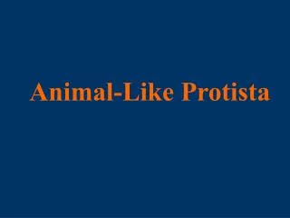 Animal-Like Protista