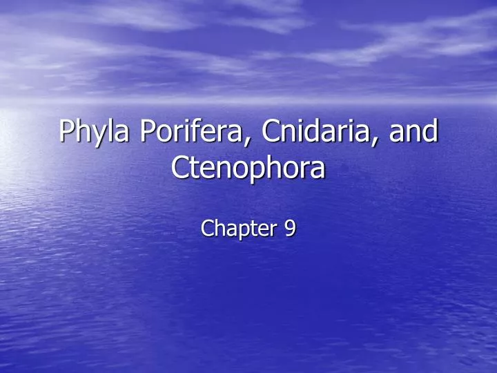 phyla porifera cnidaria and ctenophora