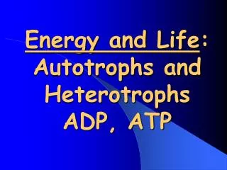 Energy and Life : Autotrophs and Heterotrophs ADP, ATP