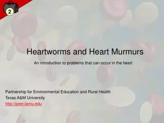Heartworms and Heart Murmurs