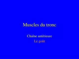 muscles du tronc