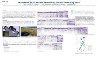 Estimates of Arctic Wetland Extent Using Ground Penetrating Radar