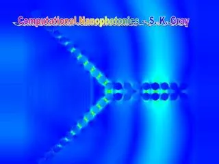 Computational Nanophotonics -- S. K. Gray