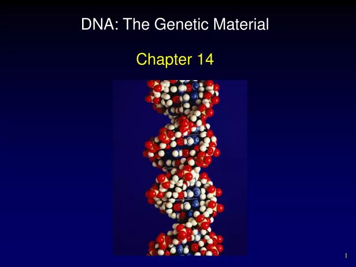 dna the genetic material