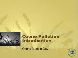 Ozone Pollution Introduction