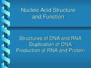 Nucleic Acid Structure and Function