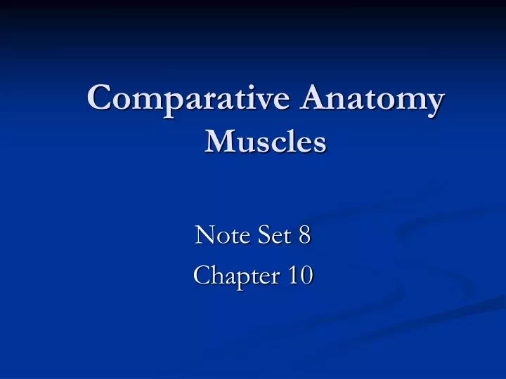 comparative anatomy muscles