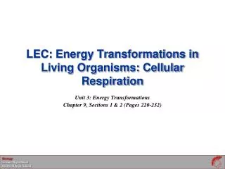 LEC: Energy Transformations in Living Organisms: Cellular Respiration