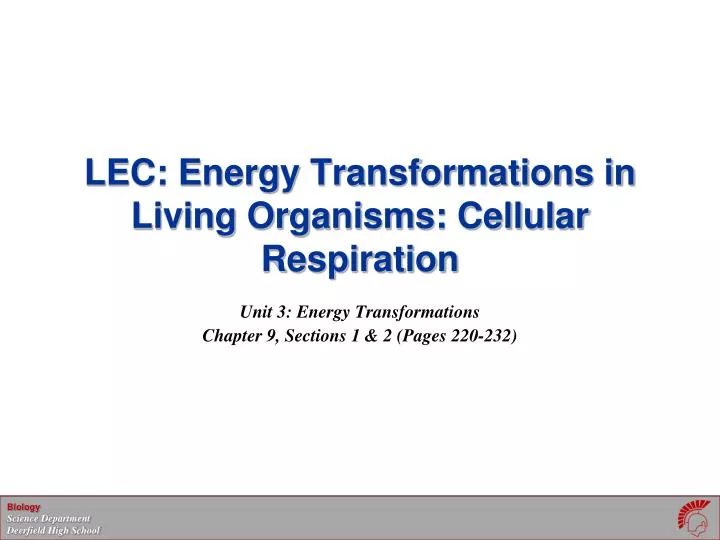 lec energy transformations in living organisms cellular respiration
