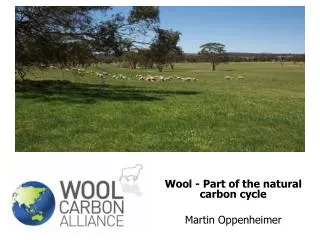 Wool - Part of the natural carbon cycle Martin Oppenheimer