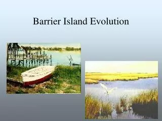 Barrier Island Evolution