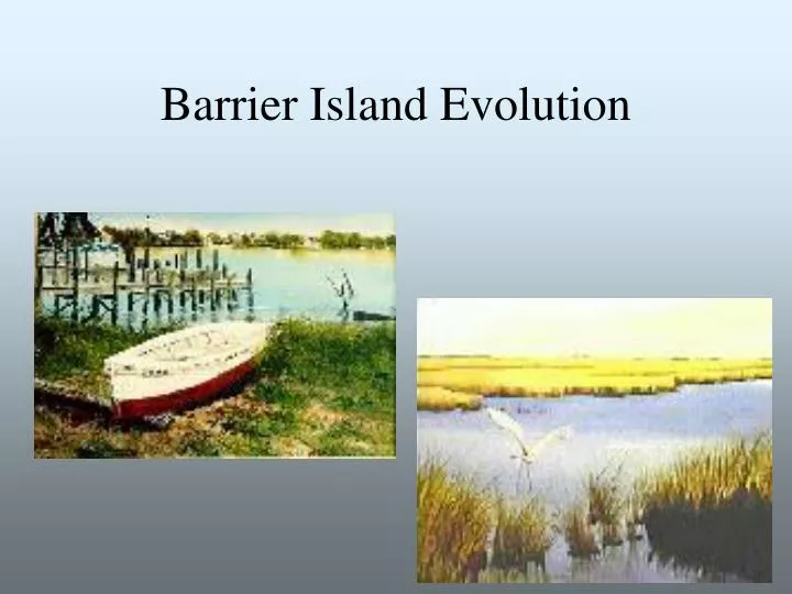 barrier island evolution