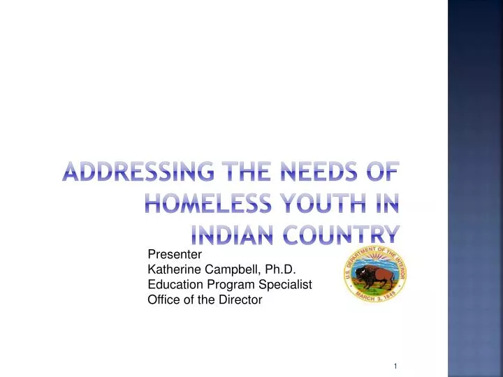 addressing the needs of homeless youth in indian country