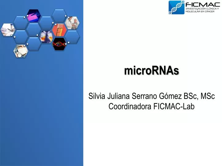 micrornas silvia juliana serrano g mez bsc msc coordinadora ficmac lab