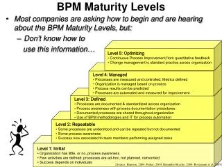 BPM Maturity Levels