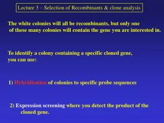 The white colonies will all be recombinants, but only one