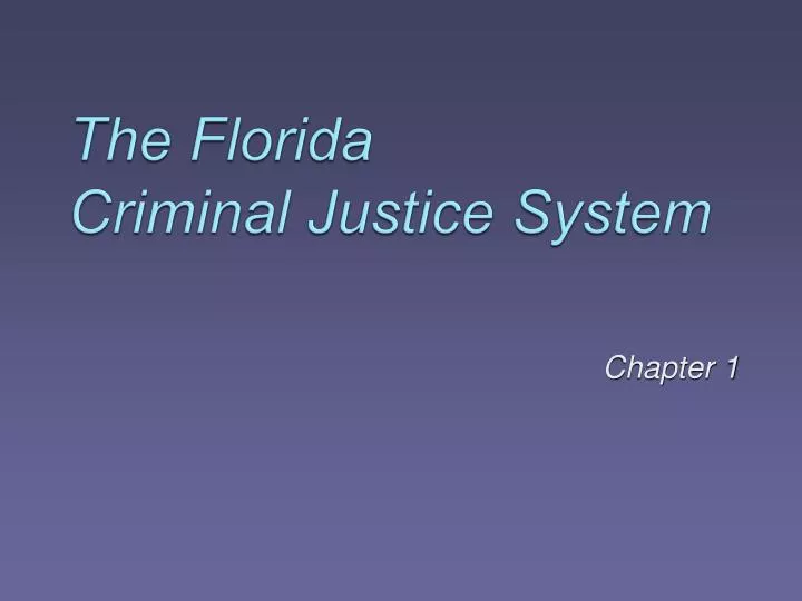 the florida criminal justice system