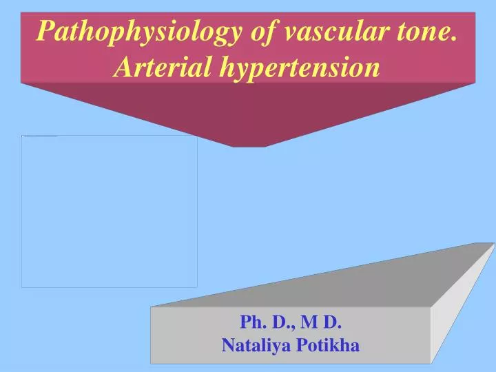 pathophysiology of vascular tone arterial hypertension