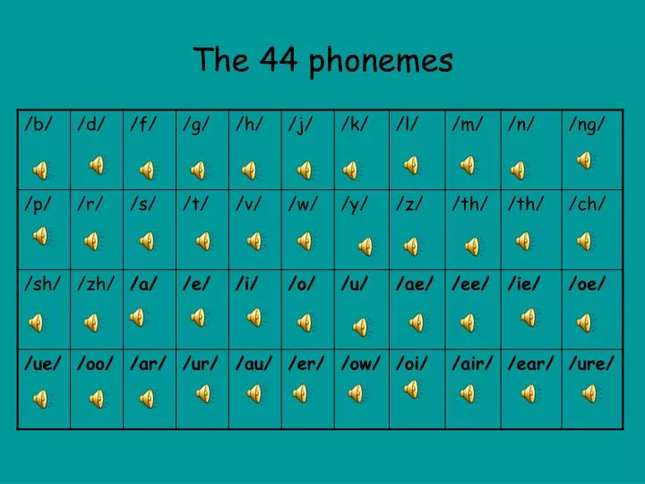 the 44 phonemes